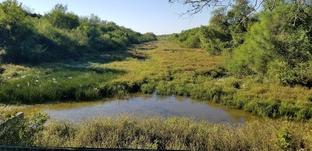 Resaca De La Palma State Park & World Birding Center